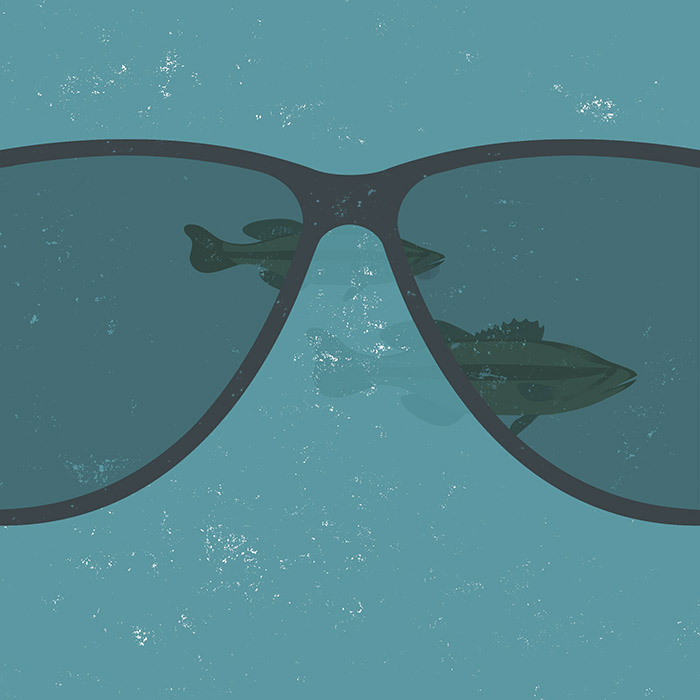 #7 - Polarized Sunglasses - Angles and Lines